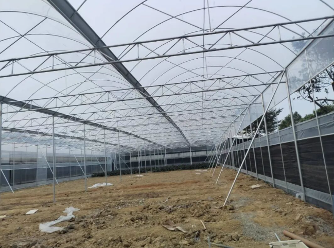 中堂蕉利农场温室大棚施工案例