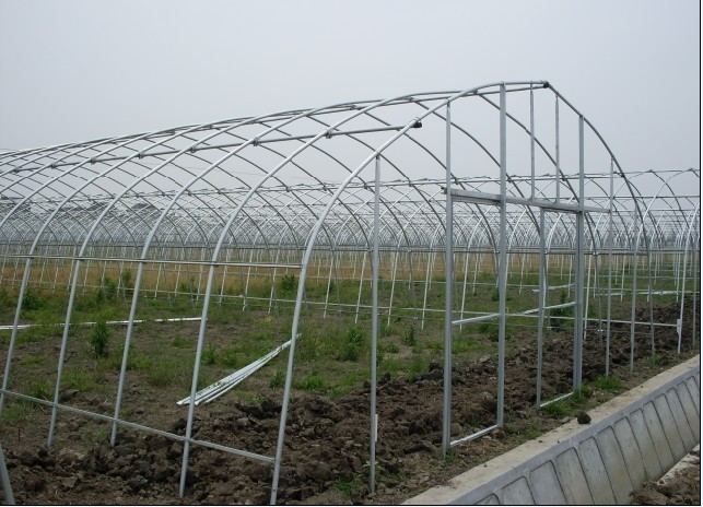 广州蔬菜大棚搭建工程案例